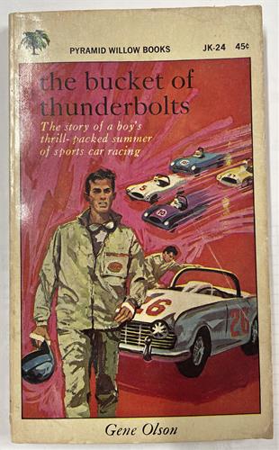 The Bucket of Thunderbolts - Willow Paperback