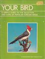 Your Pet Bird